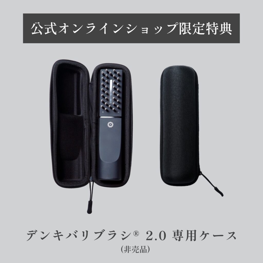 エレクトロンの公式サイトで購入すると、限定特典として専用ケース（非売品）がつきます。