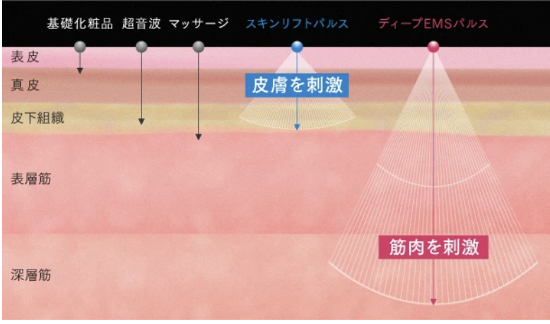 「皮膚層」と「筋肉層」では、効果的にアプローチする電気刺激が異なる