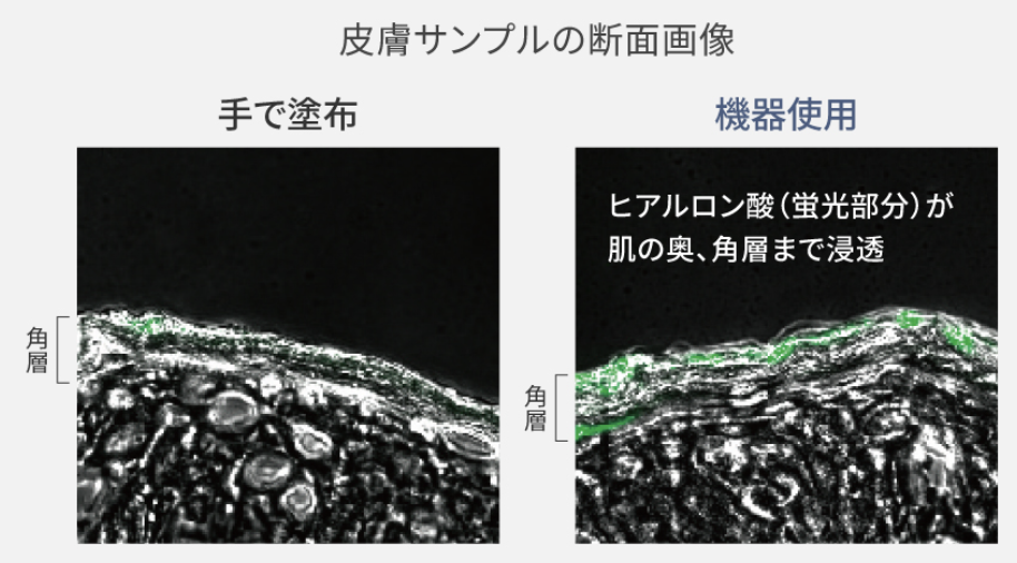 手塗りとイオンブーストマルチEXの浸透比較